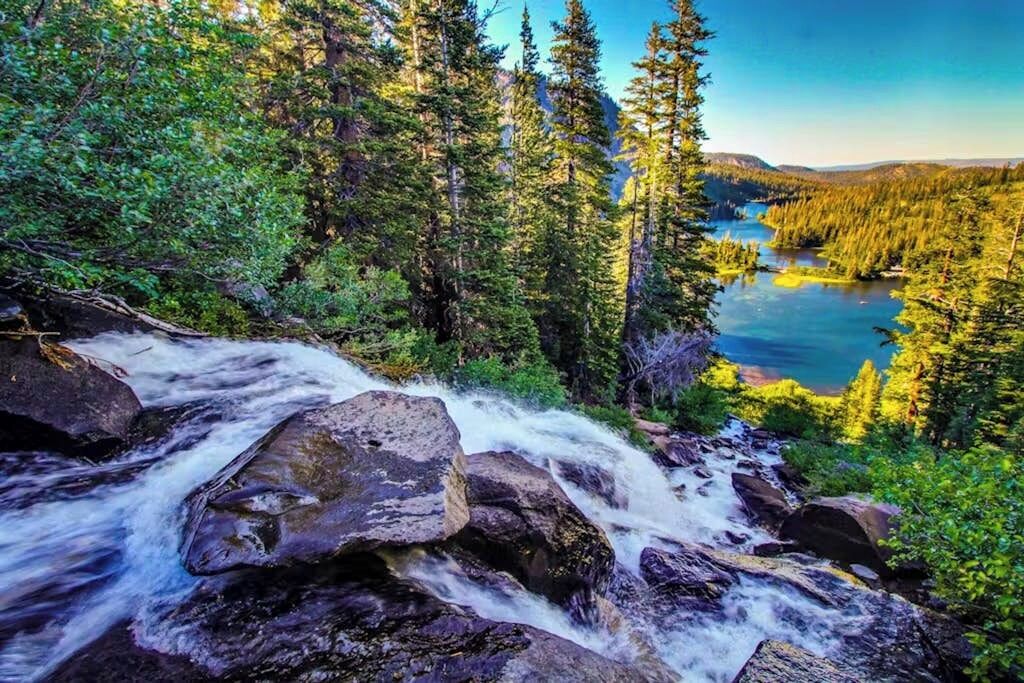 A river flowing through a forest with a mountain in the background.