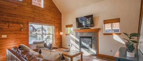 TV, fireplace, books