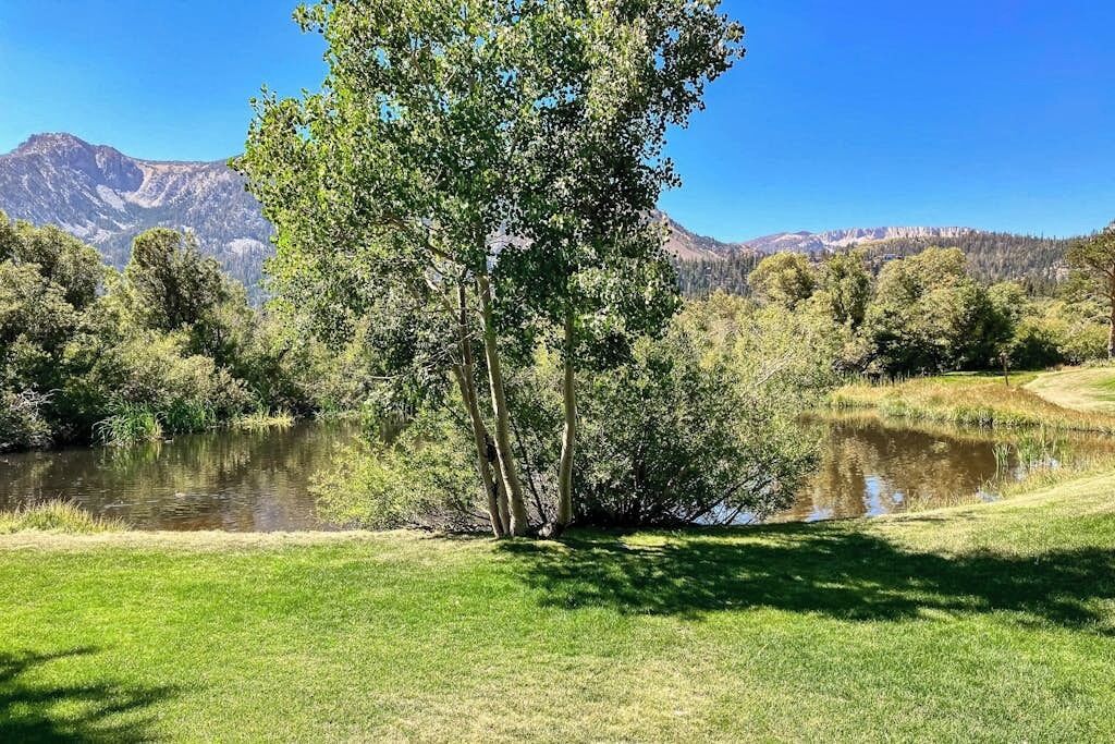 Uma área gramada com um lago e uma grande árvore ao primeiro plano, e montanhas ao fundo.