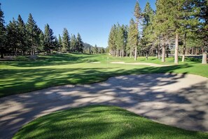 Ein Golfplatz mit Sandbunkern, Bäumen und blauem Himmel.