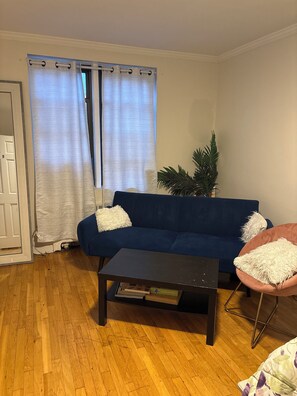 Living area - Large sunlit 1br in Rego Park, laundry in basement, 5 min walk from train! (Rego Park)