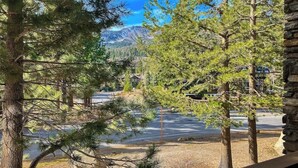 Unclassified image, 5 of 54, button - Updated Condo within Walking Distance to Ski Lifts, w/Pool, Spa, Sauna Access (Mammoth Lakes)