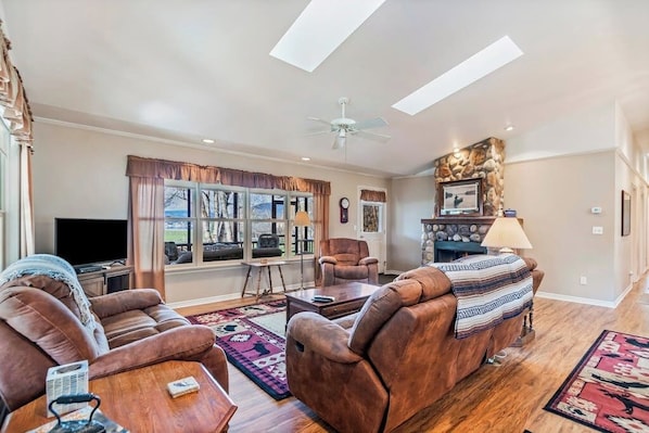 TV, fireplace, books