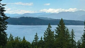 Un lac, avec des montagnes en arrière-plan et une forêt dense au premier plan.