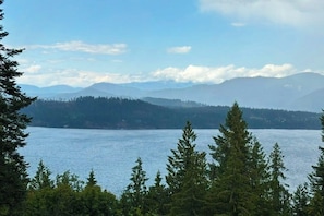 Un lago con montañas al fondo y un bosque denso en primer plano.