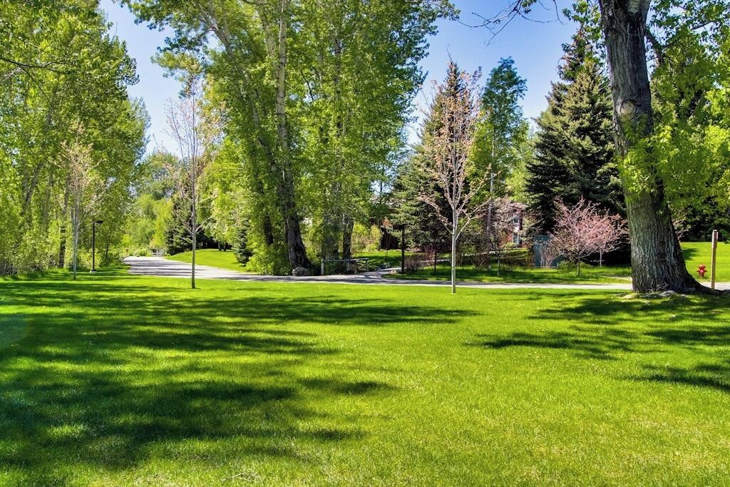 Ein Park mit befestigtem Weg, grünem Rasen und Bäumen.