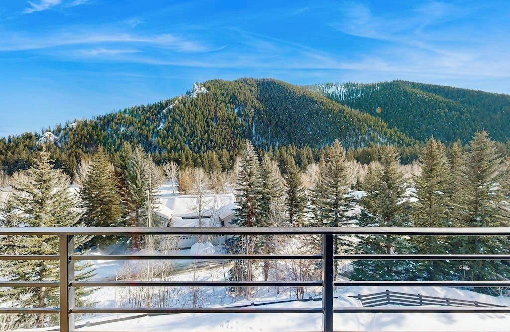 Un paisaje montañoso con árboles nevados y cielo despejado.