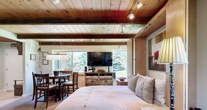 Cute Studio with Lots of Space, WiFi, Close to Skiing
