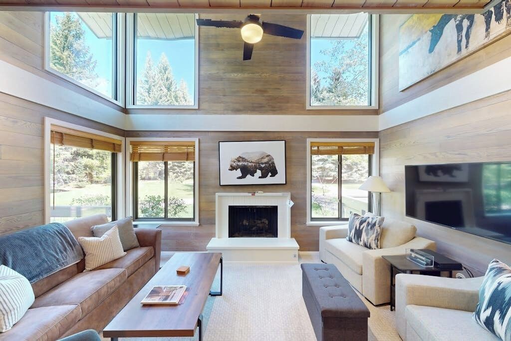 TV, fireplace, DVD player