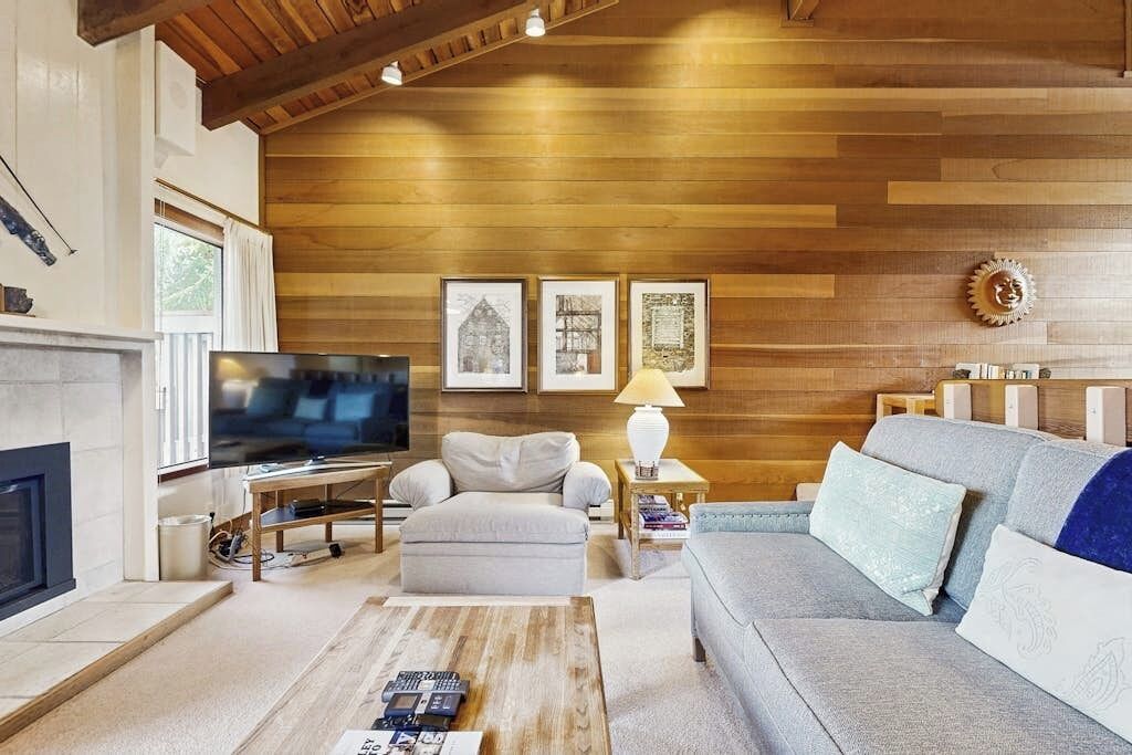 TV, fireplace, ping pong, books