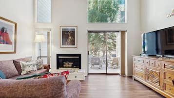 TV, fireplace, DVD player, books