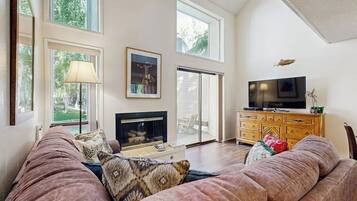 TV, fireplace, DVD player, books