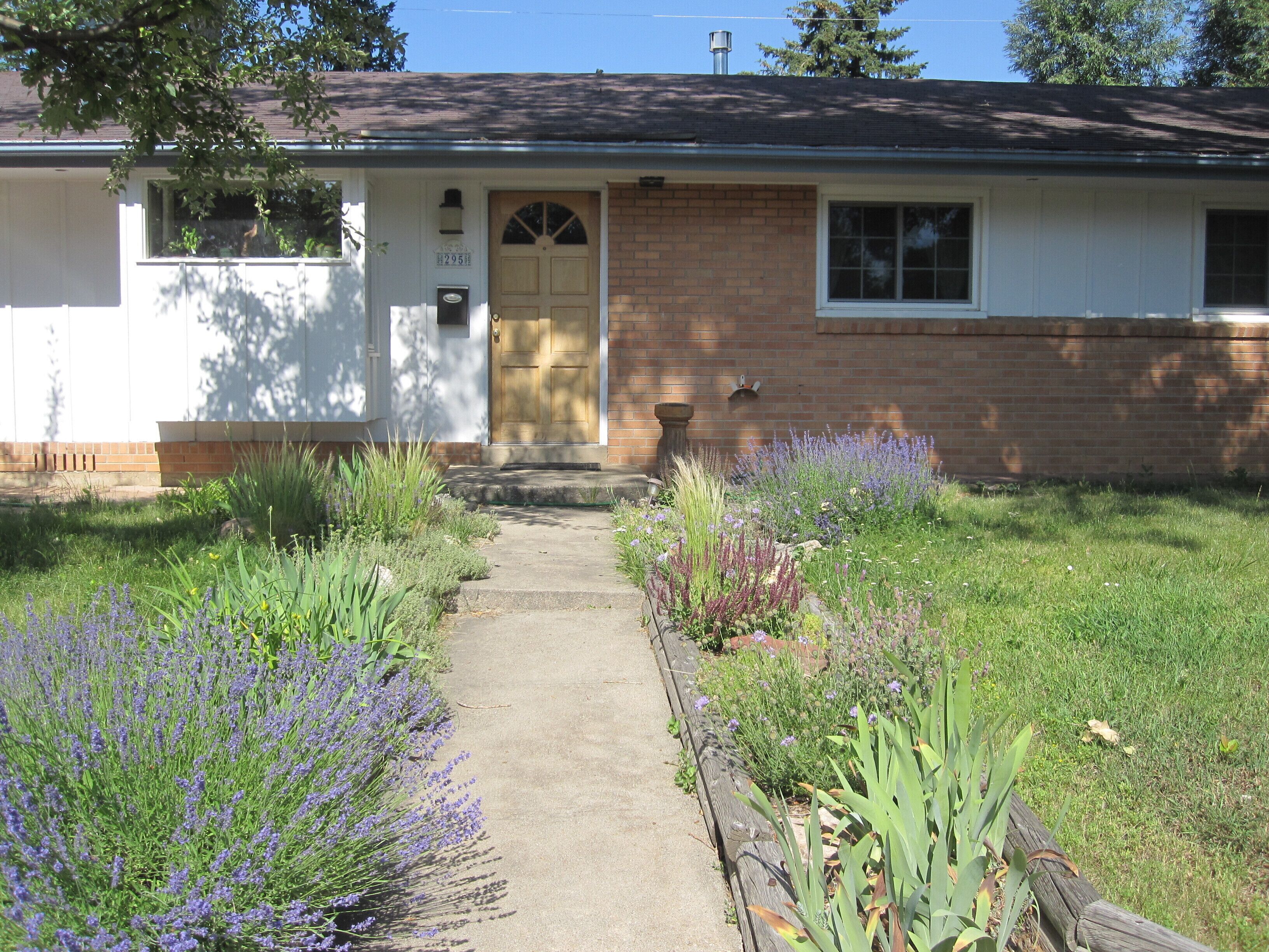 A house with a front door, a brick wall, and a garden with various plants.