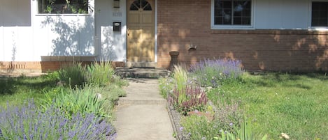 A house with a front door, a brick wall, and a garden with various plants.