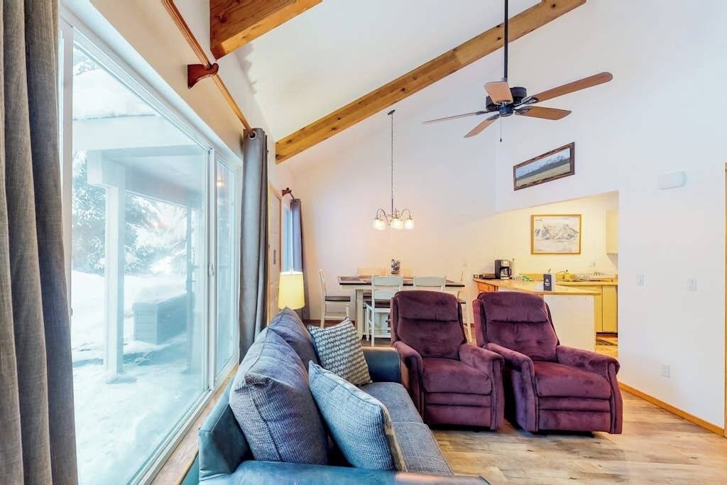 TV, fireplace, books