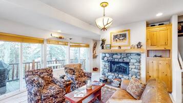 TV, fireplace, books