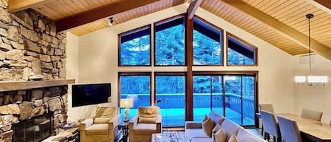 TV, fireplace, books
