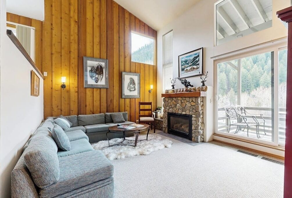 TV, fireplace, books