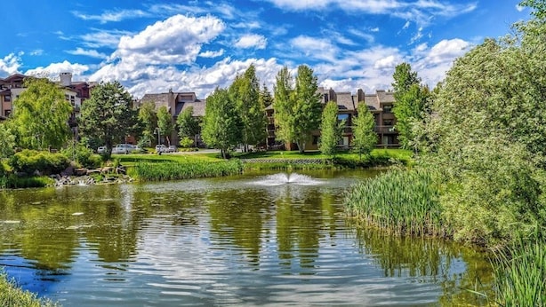 A tranquil pond with a fountain, surrounded by lush greenery and residential buildings. - Modern mountain penthouse close to hikes & skiing (Sun Valley)