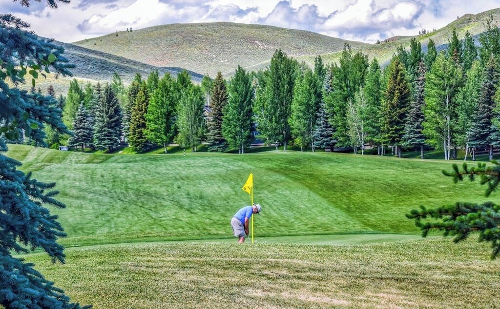 A golf course with a flagstick, trees, and a hilly background.