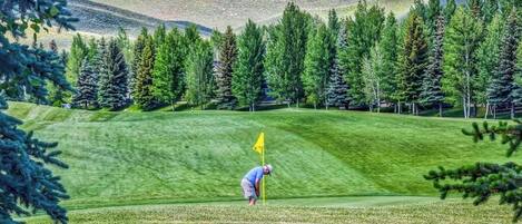 A golf course with a flagstick, trees, and a hilly background.