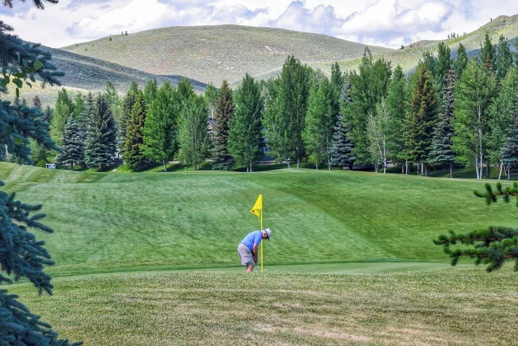 A golf course with a flag, trees, and a hill in the background.