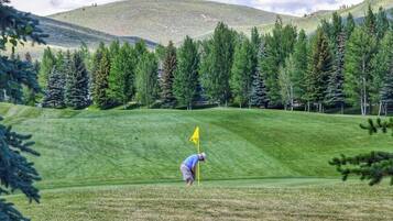 A golf course with a flag, trees, and a hill in the background.