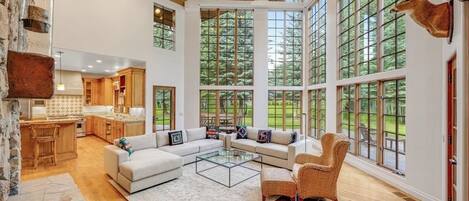 TV, fireplace, books