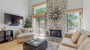 TV, fireplace, books