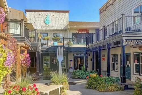 Dog-friendly downtown condo - large balcony, fast WiFi, updated interior & W/D