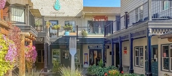 Dog-friendly downtown condo - large balcony, fast WiFi, updated interior & W/D
