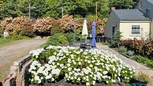 Een tuin met witte bloemen, een pad en een huis met schoorsteen.