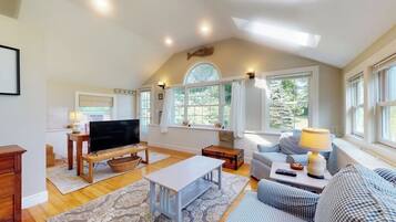 TV, fireplace, books