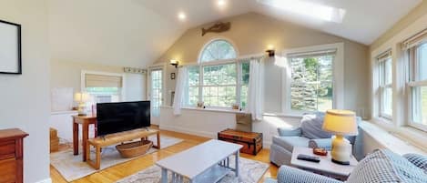 TV, fireplace, books