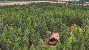 En stuga omgiven av tät skog med fri utsikt över avlägsna berg.