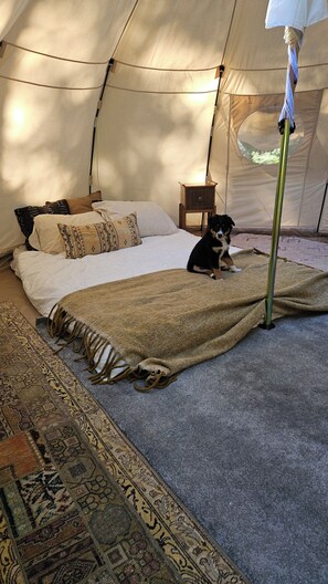 1 slaapkamer, wifi, beddengoed