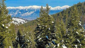 Eine Berglandschaft mit schneebedeckten Gipfeln, dichten immergrünen Bäumen und wolkenlosem Himmel.