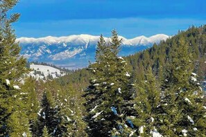 Eine Berglandschaft mit schneebedeckten Gipfeln, dichten immergrünen Bäumen und wolkenlosem Himmel.