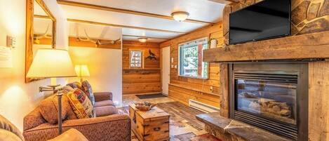 TV, fireplace, books