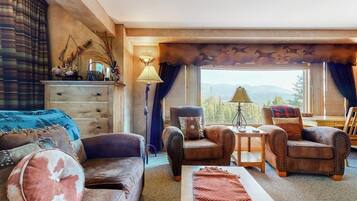 TV, fireplace, books