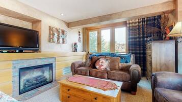 TV, fireplace, books