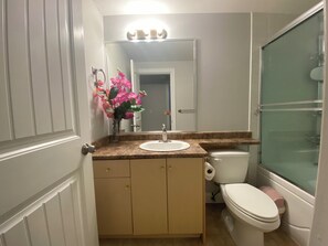 Sèche-cheveux, serviettes fournies, savon, papier toilette