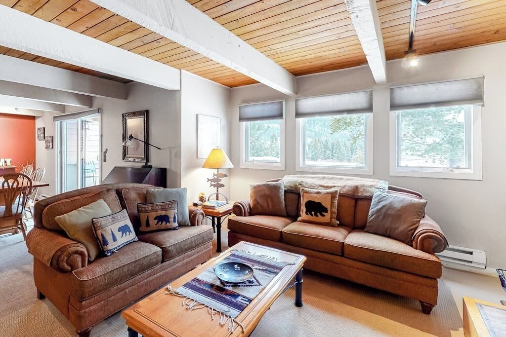 TV, fireplace, books