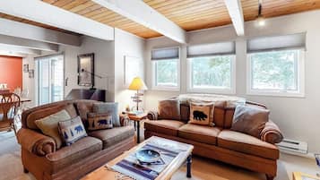 TV, fireplace, books