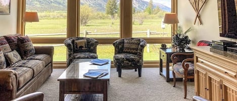 TV, fireplace, DVD player, books