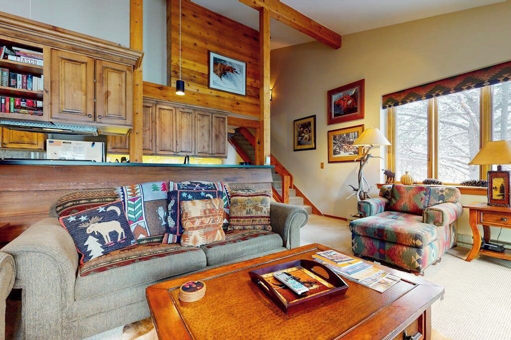 TV, fireplace, books