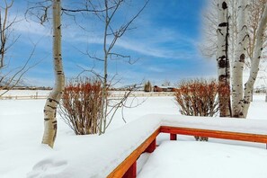 A snow-covered bench in a park with birch trees and a clear sky. - Country townhome next to golf course with mountain view & vaulted ceilings (Jackson)