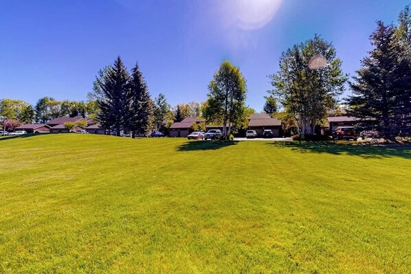 A residential area with houses, a well-maintained lawn, and trees.