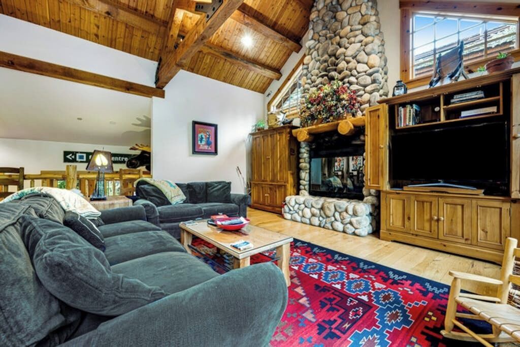 Televisión, chimenea, reproductor de DVD y libros 
