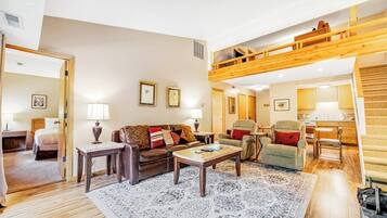 TV, fireplace, DVD player, books